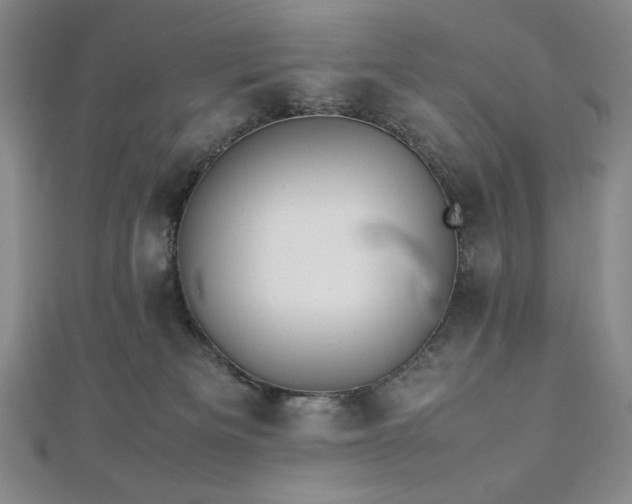 X0000113010133200908271417