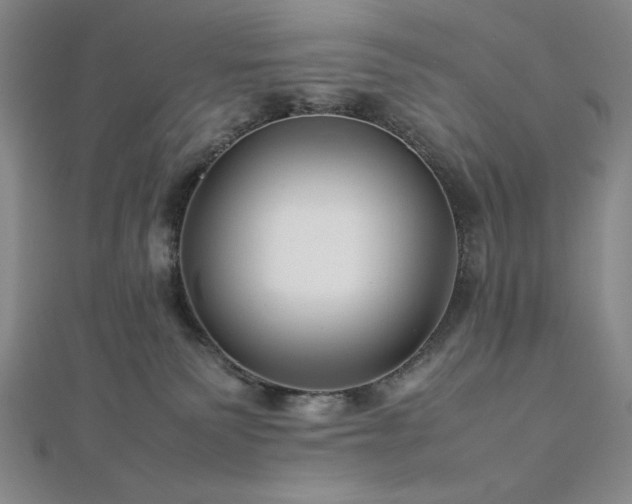 X0000113010135200908271417