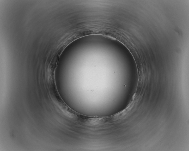 X0000113010136200908271417