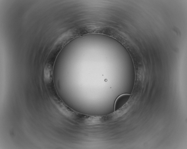 X0000113010138200908271417