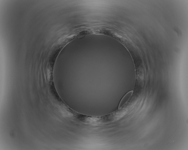 X0000113010139200908271417