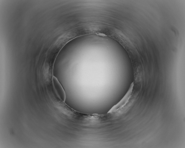 X0000113010140200908271417