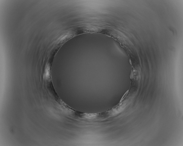 X0000113010143200908271417