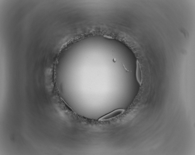 X0000113010144200908271417