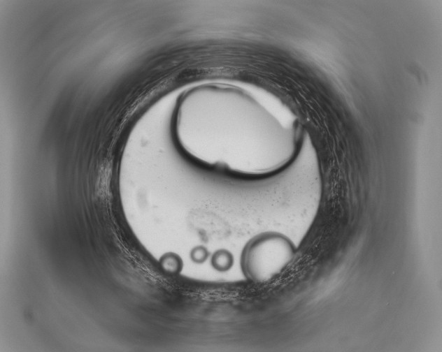 X0000113010146200908271416