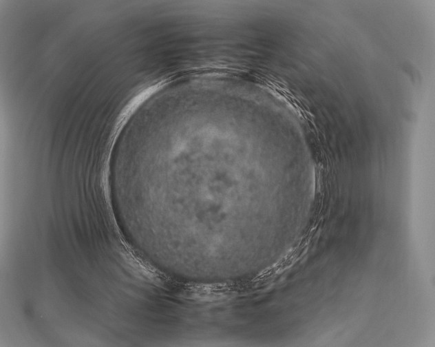 X0000113010147200908271416