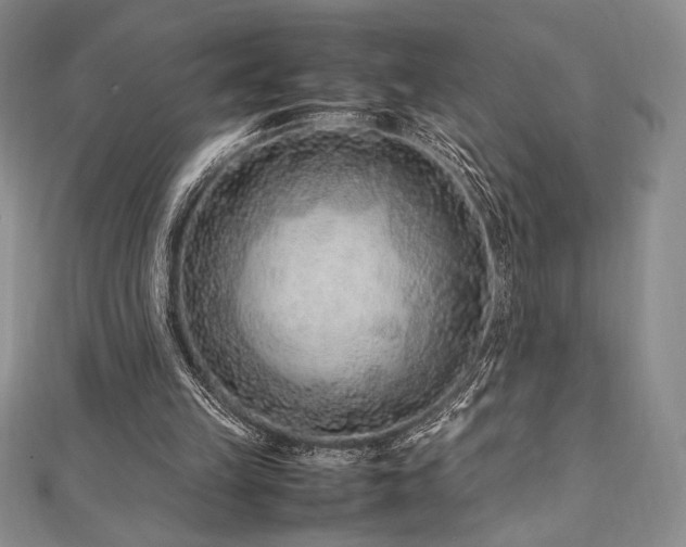 X0000113010149200908271416