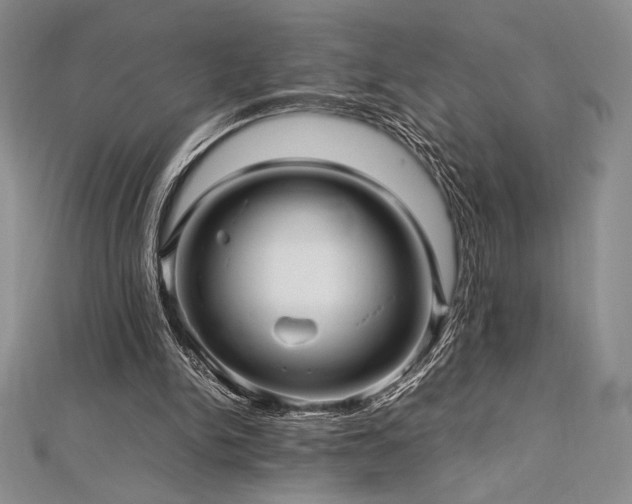 X0000113010150200908271416