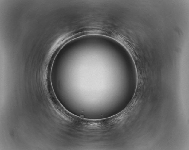 X0000113010151200908271416