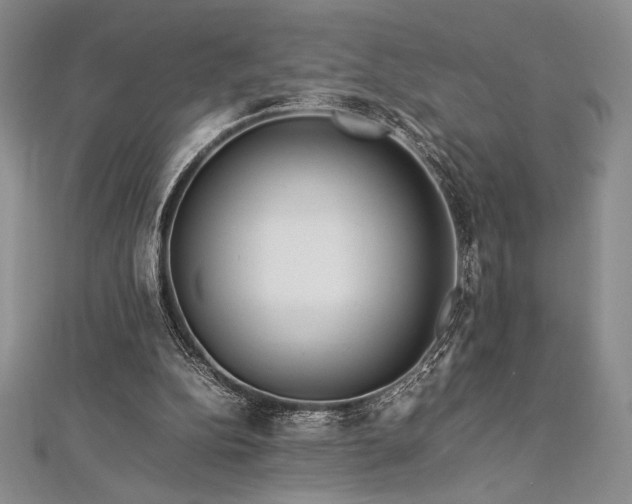 X0000113010152200908271416