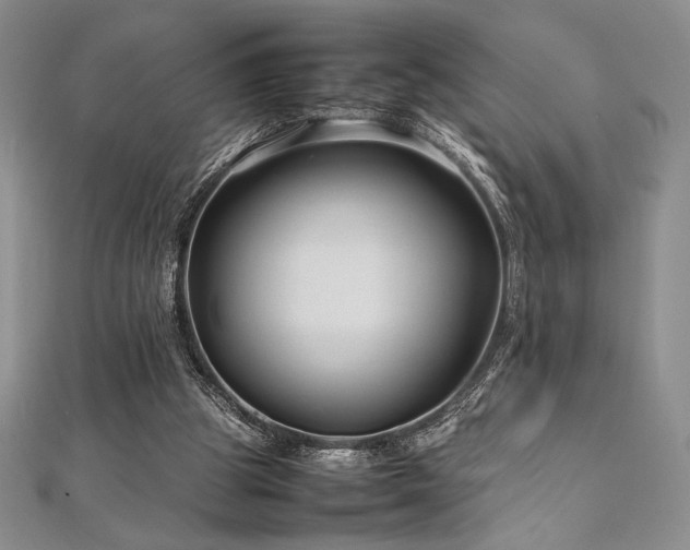 X0000113010153200908271416