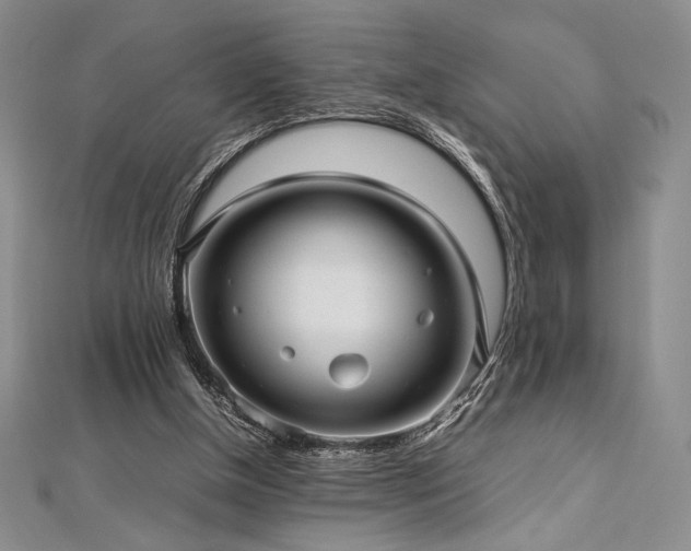 X0000113010154200908271416