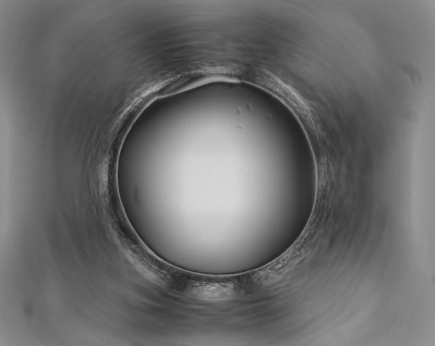 X0000113010155200908271416