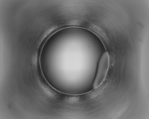 X0000113010156200908271416