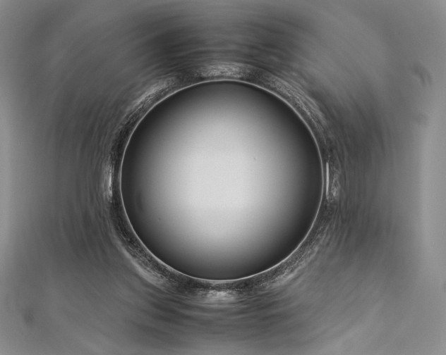 X0000113010157200908271416