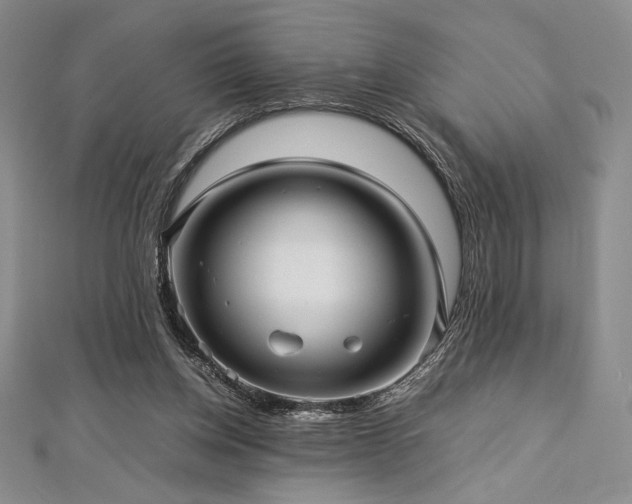 X0000113010158200908271416