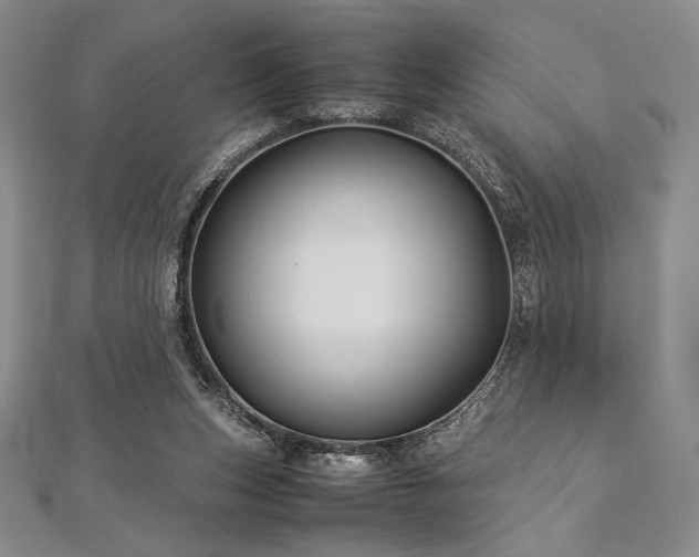 X0000113010159200908271416