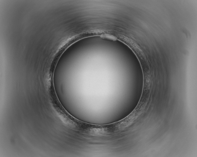 X0000113010160200908271416