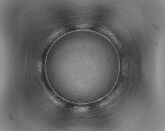 X0000113010161200908271416