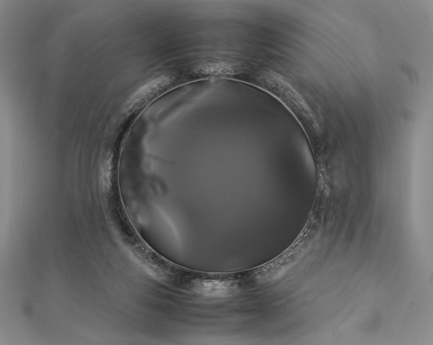 X0000113010163200908271416