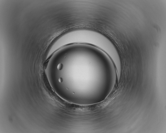 X0000113010164200908271416