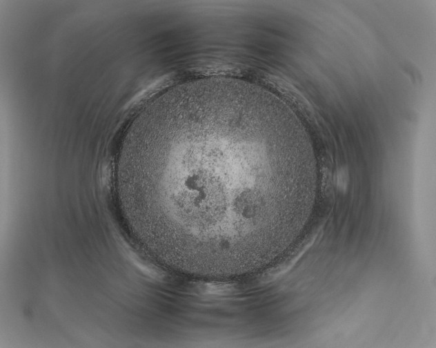 X0000113010165200908271416