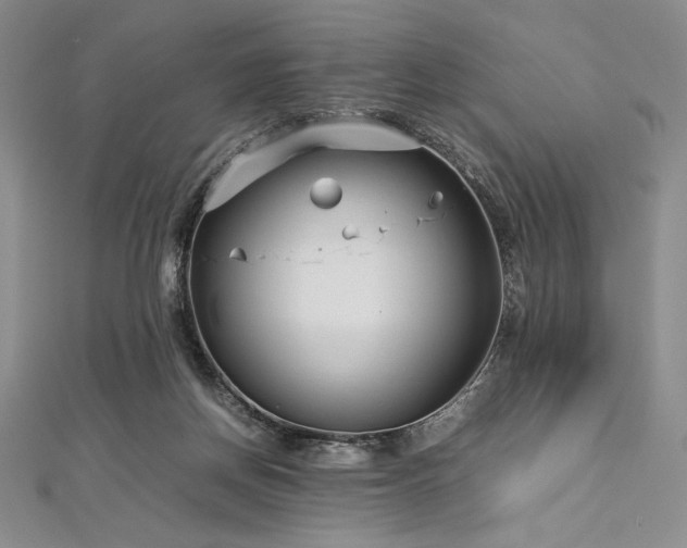 X0000113010166200908271416