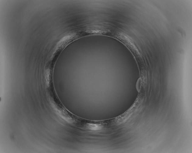 X0000113010167200908271416