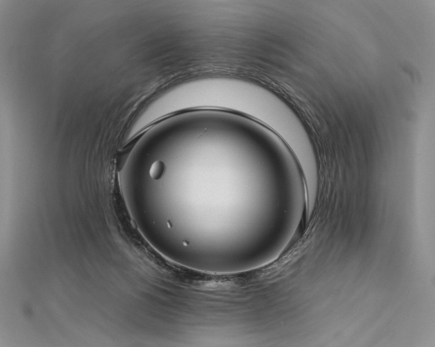 X0000113010168200908271416