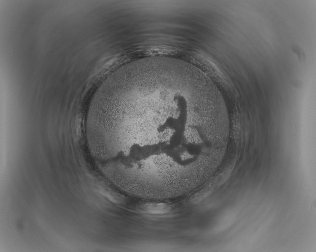 X0000113010169200908271417