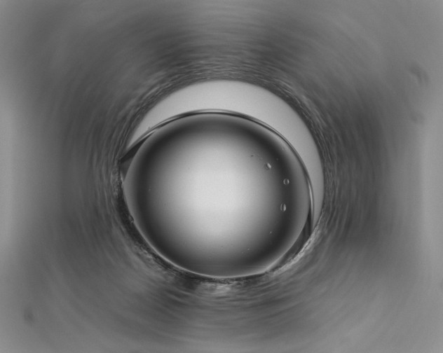 X0000113010170200908271417