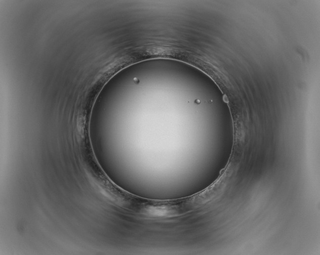 X0000113010171200908271417