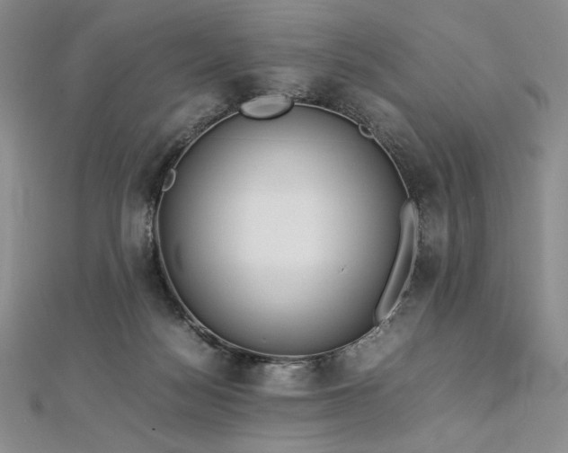 X0000113010172200908271417