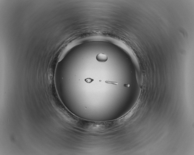 X0000113010174200908271417