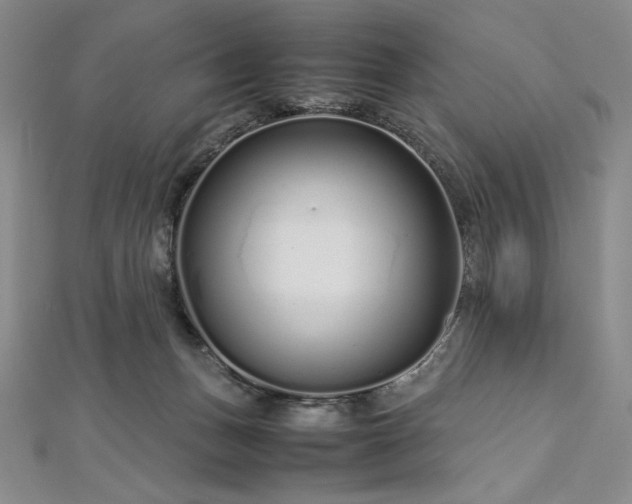 X0000113010175200908271417