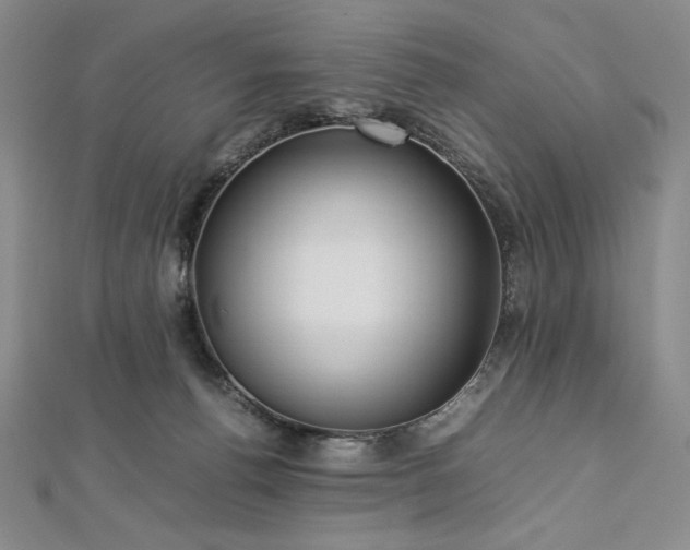 X0000113010176200908271417