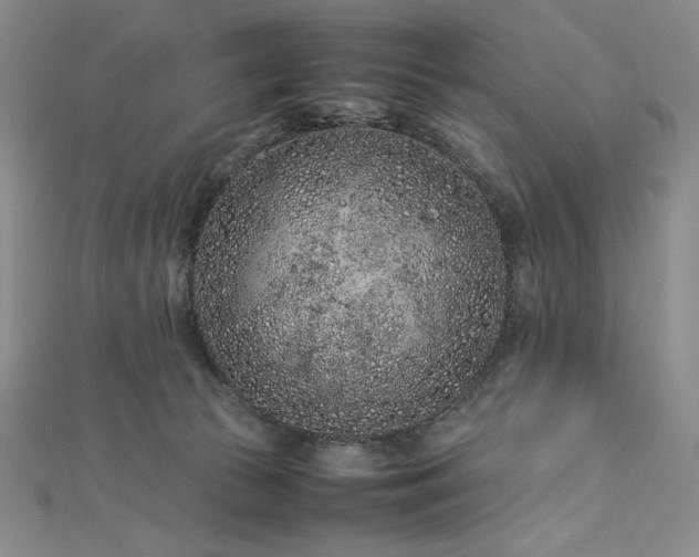 X0000113010177200908271417