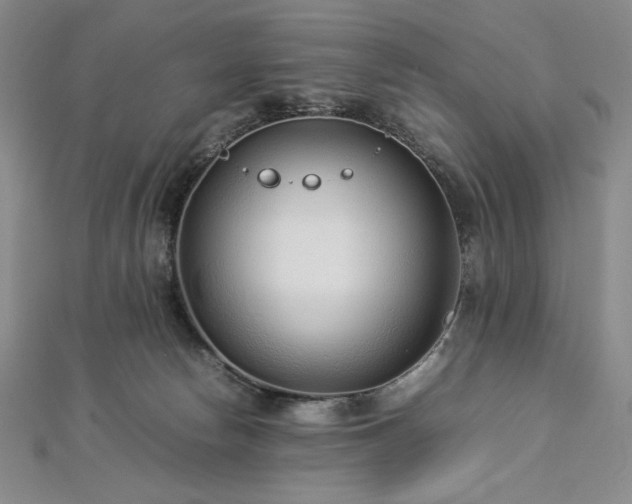 X0000113010178200908271417