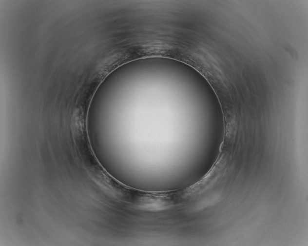 X0000113010179200908271417