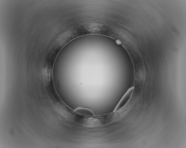 X0000113010180200908271417