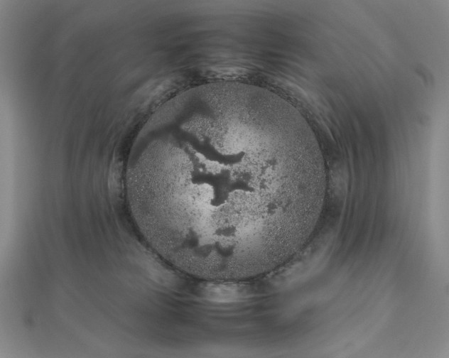 X0000113010181200908271417