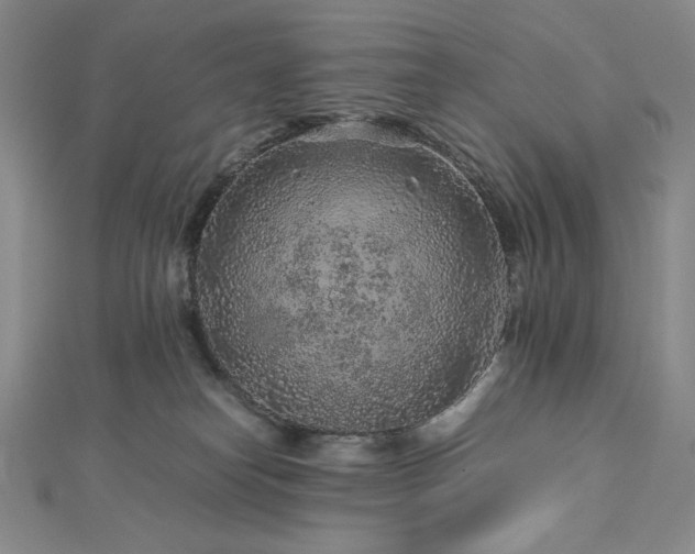 X0000113010182200908271417