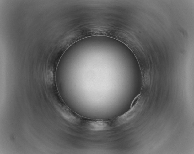 X0000113010183200908271417