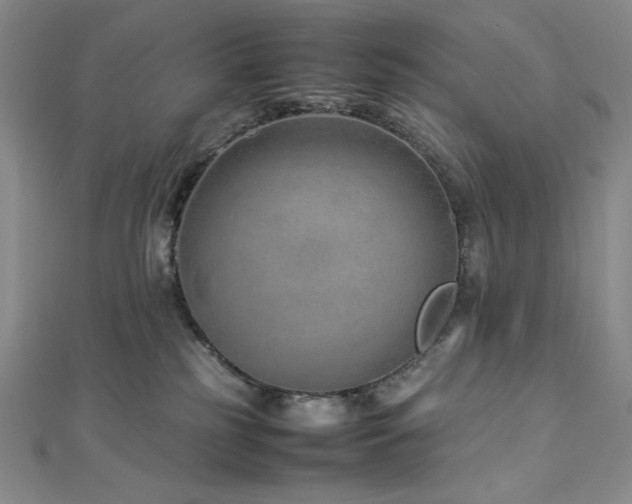 X0000113010185200908271417