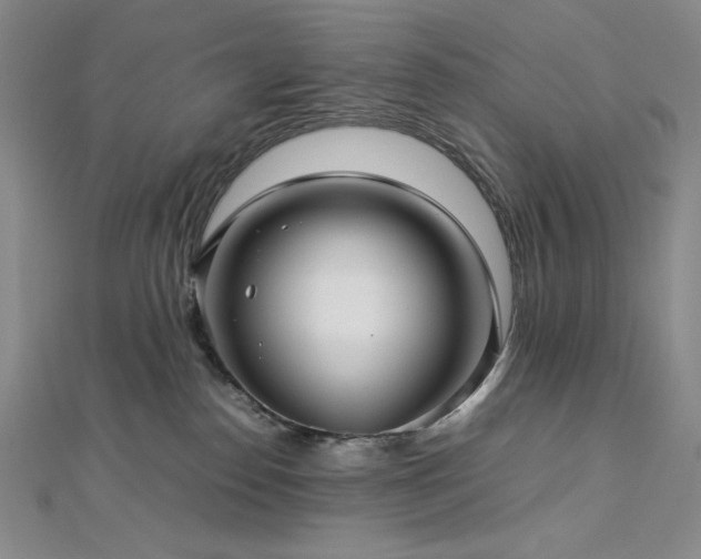 X0000113010186200908271417