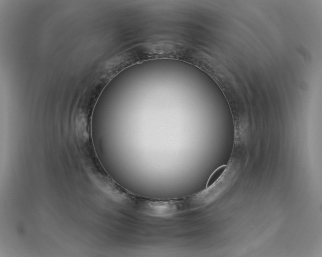 X0000113010187200908271417