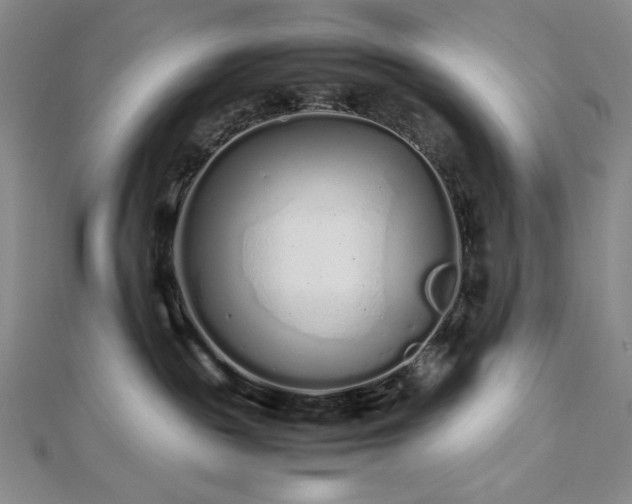 X0000113010189200908271417