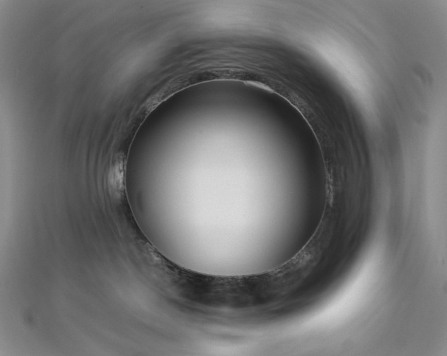 X0000113010190200908271417