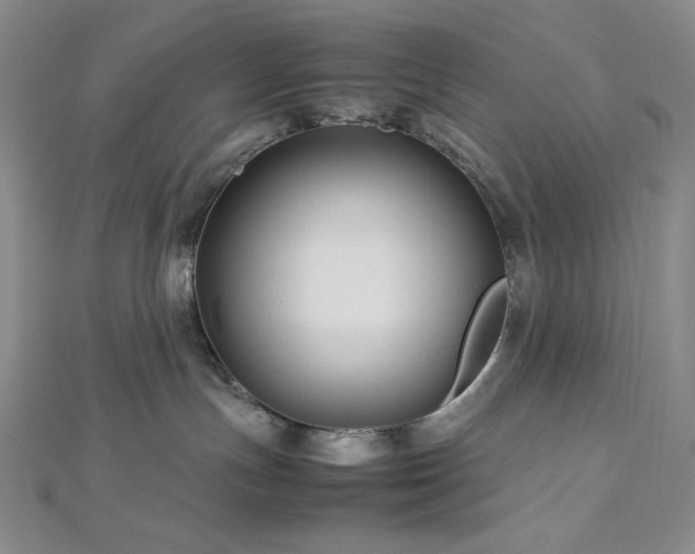 X0000113010191200908271417