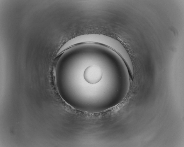 X0000113010192200908271417